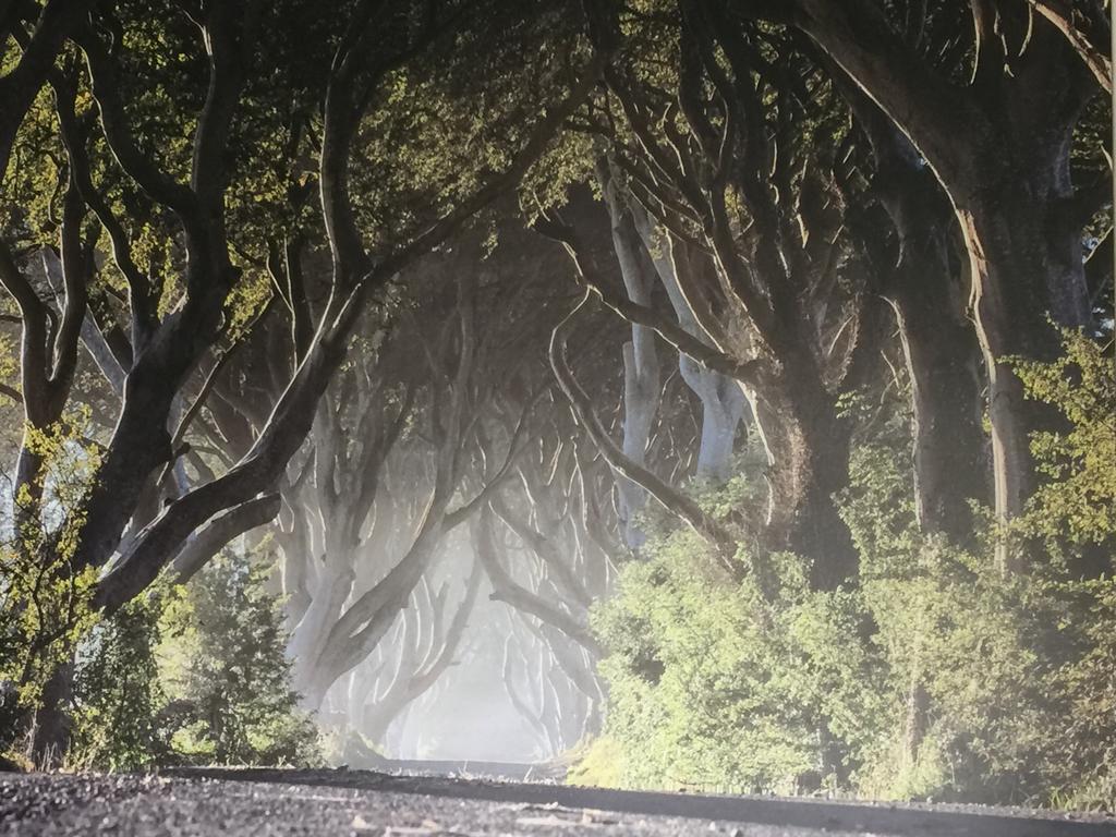Dark Hedges Cottage Ballycastle Zewnętrze zdjęcie