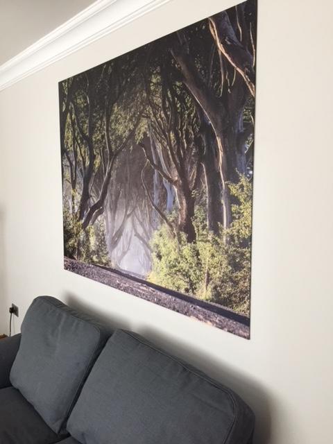 Dark Hedges Cottage Ballycastle Zewnętrze zdjęcie